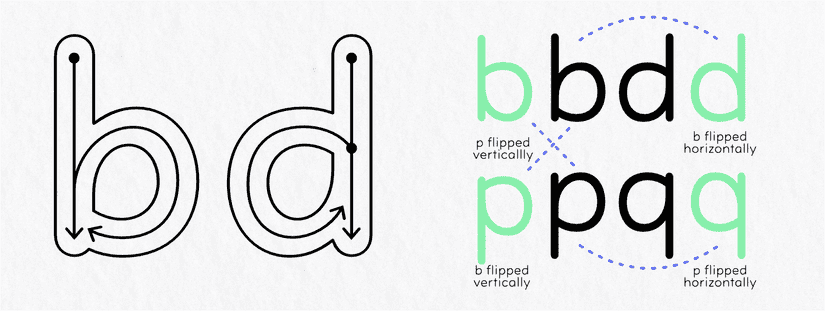 Lowercase b and d shown next to each other. Then a diagram showing them flipped and not looking the same